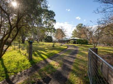 Farm For Sale - NSW - Tarraganda - 2550 - INCREDIBLE PROPERTY, STUNNING LOCATION!  (Image 2)