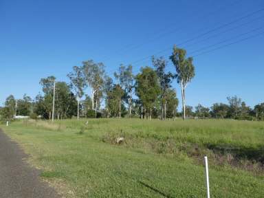 Farm For Sale - QLD - Coalstoun Lakes - 4621 - LARGE ALLOTMENT IN RURAL VILLAGE  (Image 2)