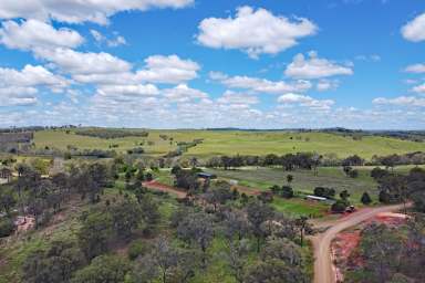 Farm For Sale - QLD - Ventnor - 4630 - North Burnett Fattening Country  (Image 2)