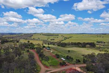 Farm For Sale - QLD - Ventnor - 4630 - North Burnett Fattening Country  (Image 2)