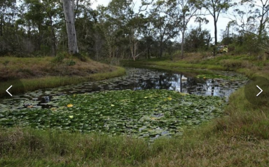 Farm For Sale - QLD - Buxton - 4660 - Slice of paradise with a laid back lifestyle!  (Image 2)