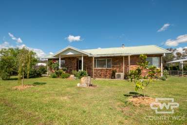 Farm For Sale - NSW - Glen Innes - 2370 - A Spacious Country property with Potential!  (Image 2)