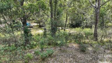 Farm For Sale - VIC - Nungurner - 3909 - Tree Change on the Gippsland Lakes  (Image 2)