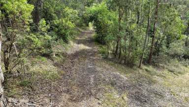 Farm For Sale - VIC - Nungurner - 3909 - Tree Change on the Gippsland Lakes  (Image 2)