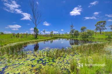 Farm For Sale - QLD - Rosedale - 4674 - REGISTERED FEEDLOT ON 550 ACRES  (Image 2)