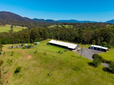 Farm For Sale - NSW - Brogo - 2550 - RURAL PARADISE!  (Image 2)