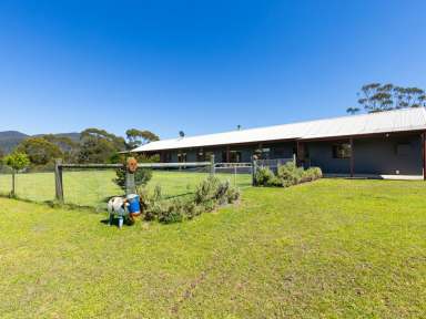 Farm For Sale - NSW - Brogo - 2550 - RURAL PARADISE!  (Image 2)