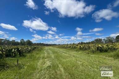 Farm For Sale - QLD - Munna Creek - 4570 - RURAL LIFESTYLE WITH PRIME FARMING POTENTIAL  (Image 2)