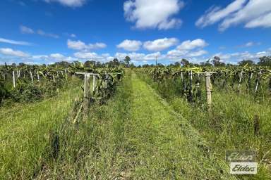 Farm For Sale - QLD - Munna Creek - 4570 - RURAL LIFESTYLE WITH PRIME FARMING POTENTIAL  (Image 2)