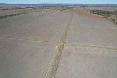 Farm For Sale - NSW - Kiacatoo - 2877 - Large Scale Mixed Farming and Grazing Asset with Irrigation Development  (Image 2)