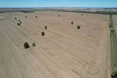 Farm For Sale - NSW - Kiacatoo - 2877 - Large Scale Mixed Farming and Grazing Asset with Irrigation Development  (Image 2)