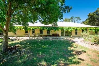 Farm Auction - NSW - Burrumbuttock - 2642 - “Complete Small Farm with Outstanding Subdivisional Fencing for Ease of Management – a True One-Man Operation.”  (Image 2)