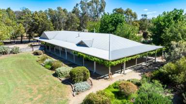 Farm For Sale - NSW - Burrumbuttock - 2642 - “Complete Small Farm with Outstanding Subdivisional Fencing for Ease of Management – a True One-Man Operation.”  (Image 2)