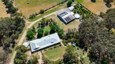 Farm For Sale - NSW - Burrumbuttock - 2642 - “Complete Small Farm with Outstanding Subdivisional Fencing for Ease of Management – a True One-Man Operation.”  (Image 2)