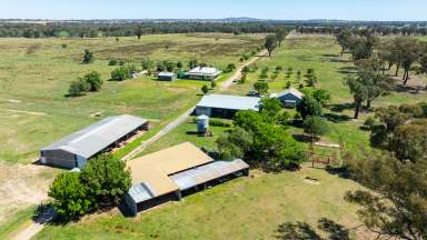 Farm For Sale - NSW - Culcairn - 2660 - RURAL LIFESTYLE ON BILLABONG CREEK  (Image 2)