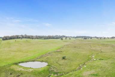 Farm For Sale - NSW - Neville - 2799 - "Sefton Park" - Your Next Grazing Enterprise  (Image 2)