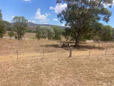 Farm For Sale - NSW - Bunnan - 2337 - Great Block in Bunnan!  (Image 2)