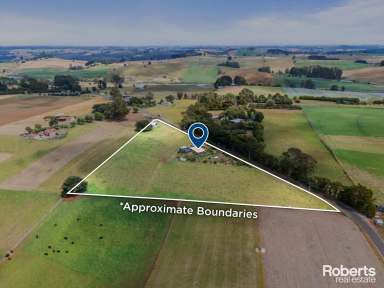 Farm For Sale - TAS - West Pine - 7316 - 5 Acres, 5 minutes to Penguin!  (Image 2)