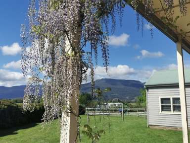 Farm For Sale - TAS - Caveside - 7304 - Country Elegance!  (Image 2)