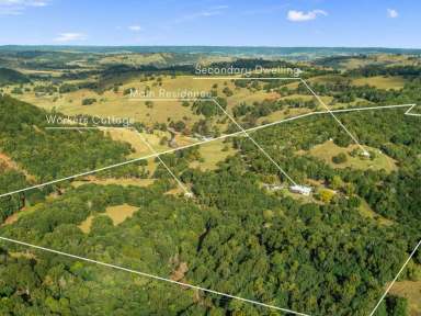 Farm For Sale - NSW - Corndale - 2480 - 80 Acre Hinterland Retreat - 3 Homes  (Image 2)