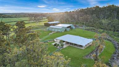 Farm For Sale - QLD - Bungadoo - 4671 - Escape the Grind: Your Farming Dream Awaits  (Image 2)