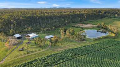 Farm For Sale - QLD - Bungadoo - 4671 - Escape the Grind: Your Farming Dream Awaits  (Image 2)