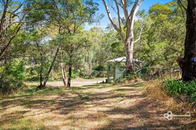 Farm For Sale - VIC - Dartmoor - 3304 - SECLUDED & SERENE NATURE RETREAT  (Image 2)