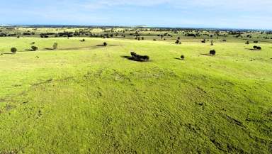 Farm Auction - QLD - Roma - 4455 - Developed Brigalow Scrub Fattening  (Image 2)