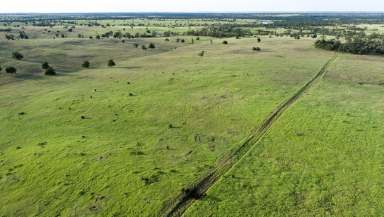 Farm Auction - QLD - Roma - 4455 - Developed Brigalow Scrub Fattening  (Image 2)