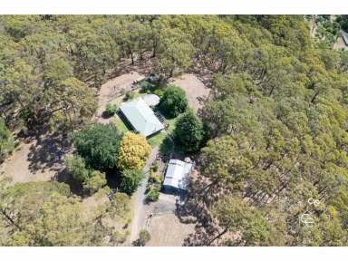 Farm For Sale - SA - Lenswood - 5240 - A lifestyle in the hills is calling  (Image 2)