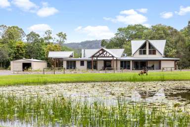 Farm For Sale - QLD - Yandina - 4561 - Rare Riverside Paradise with a Second Dwelling on the Sunshine Coast  (Image 2)