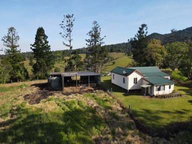 Farm For Sale - QLD - Millaa Millaa - 4886 - EASY CARE CATTLE PROPERTY  (Image 2)