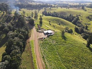 Middlebrook Road, Millaa Millaa QLD 4886