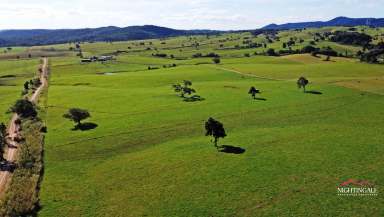 Farm For Sale - QLD - Ravenshoe - 4888 - 256 acres I Grazing I Water  (Image 2)