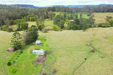 Farm For Sale - NSW - Wadeville - 2474 - PICTURE PERFECT PROPERTY  (Image 2)