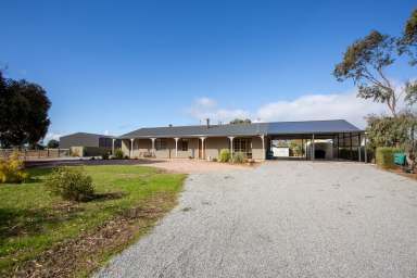 Farm For Sale - SA - Poonindie - 5607 - Live the dream!!  (Image 2)