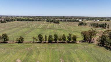 Farm For Sale - VIC - Tatura - 3616 - Future Development Site Opportunity - "Charlie's Farm" 450 Murton Road, Tatura  (Image 2)