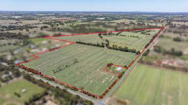 Farm For Sale - VIC - Tatura - 3616 - Future Development Site Opportunity - "Charlie's Farm" 450 Murton Road, Tatura  (Image 2)