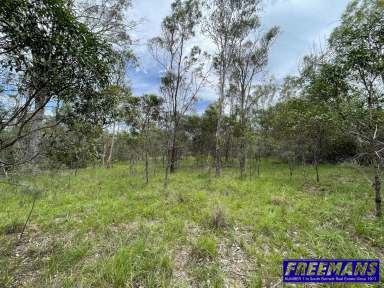 Farm For Sale - QLD - Sandy Ridges - 4615 - Great 5 Acre Lifestyle Block  (Image 2)