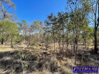 Farm For Sale - QLD - Sandy Ridges - 4615 - Great 5 Acre Lifestyle Block  (Image 2)