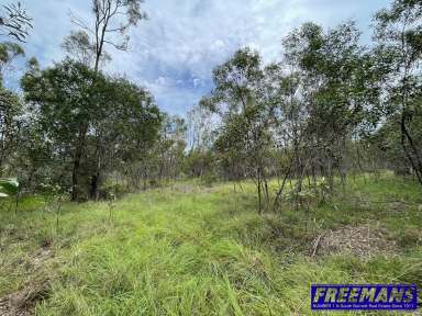 Farm For Sale - QLD - Sandy Ridges - 4615 - Great 5 Acre Lifestyle Block  (Image 2)