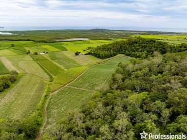 Farm Auction - QLD - Habana - 4740 - Coastal Cane Farm with 2 Titles!  (Image 2)