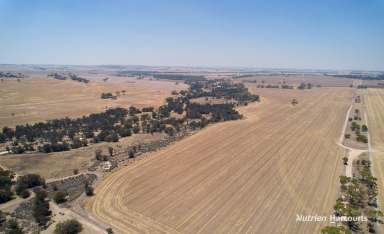 Farm For Sale - WA - Jennapullin - 6401 - "BOUNDRY ROAD BLOCK"  (Image 2)