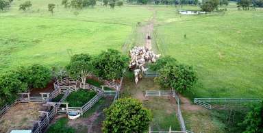 Farm For Sale - QLD - Mundubbera - 4626 - You Can Have It All - Lifestyle & Productive Grazing  (Image 2)