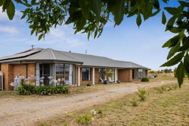 Farm For Sale - NSW - Goulburn - 2580 - Rural Living  (Image 2)