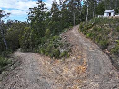 Farm For Sale - TAS - St Marys - 7215 - Peace & Tranquillity with Million-Dollar Coastal Views  (Image 2)