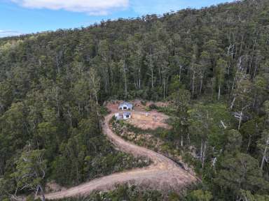 Farm For Sale - TAS - St Marys - 7215 - Peace & Tranquillity with Million-Dollar Coastal Views  (Image 2)