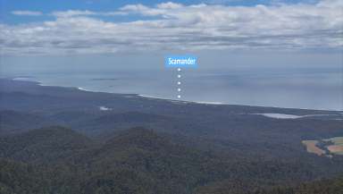 Farm For Sale - TAS - St Marys - 7215 - Peace & Tranquillity with Million-Dollar Coastal Views  (Image 2)