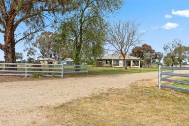 Farm For Sale - VIC - Yarroweyah - 3644 - Horse and Tradie Happiness on 85 acres with water  (Image 2)