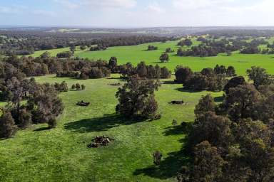 Farm For Sale - WA - Morangup - 6083 - Highly Productive || Premium Location - West Toodyay  (Image 2)